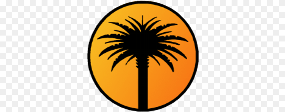 Palm Tree Technology Oasis, Palm Tree, Plant, Nature, Outdoors Png Image