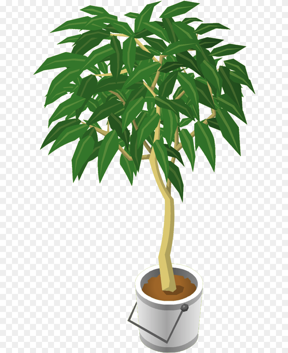 Palm Tree Top View Available Items Fig Trees Portable Network Graphics, Leaf, Palm Tree, Plant, Potted Plant Png