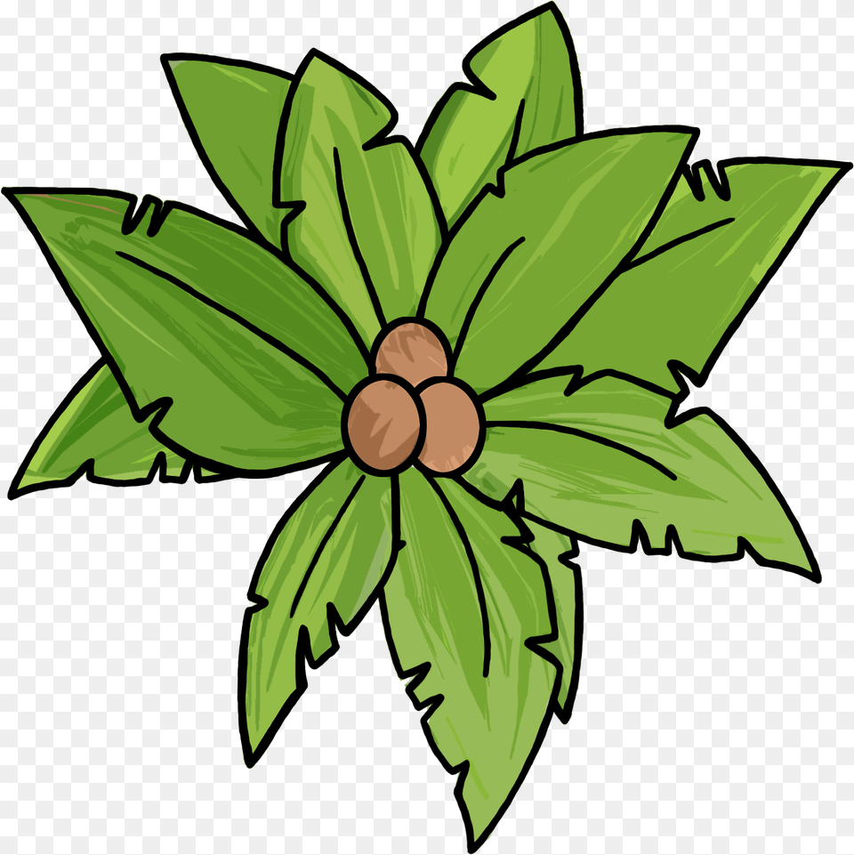 Palm Tree Top View Clip Art Hd Download Original Top Of A Palm Tree, Plant, Leaf, Green, Herbs Free Transparent Png