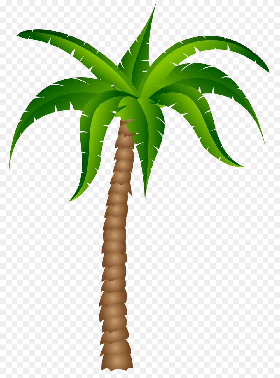 Palm Tree Transparent, Palm Tree, Plant, Cross, Symbol Free Png