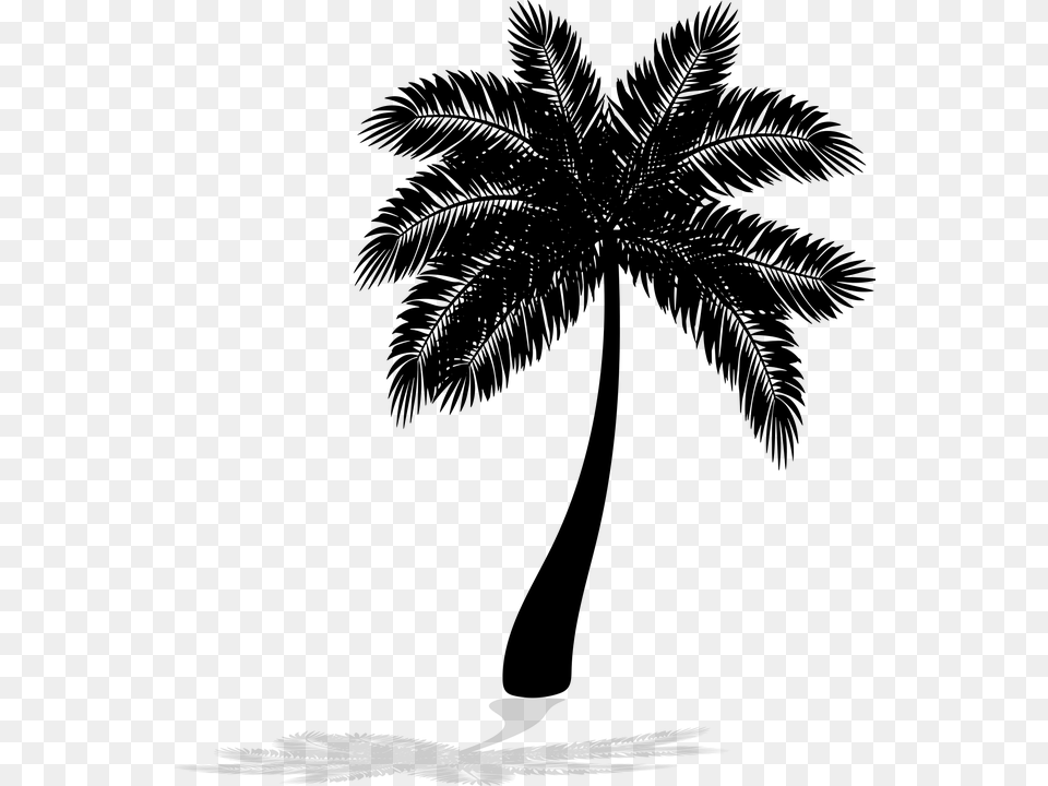 Palm Tree Transparent, Gray Png Image