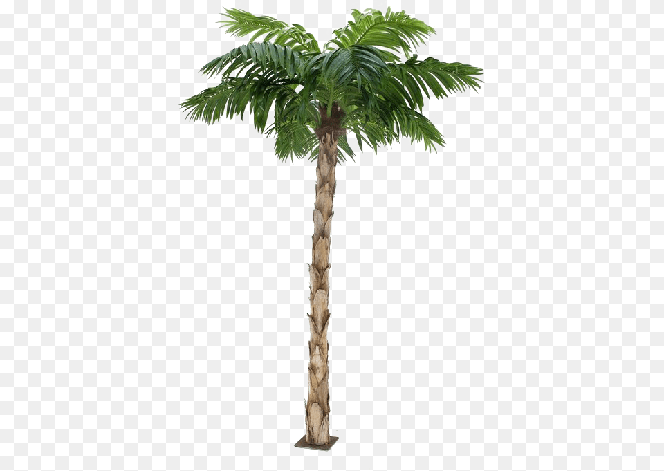 Palm Tree Transparent Background, Palm Tree, Plant, Cross, Symbol Png