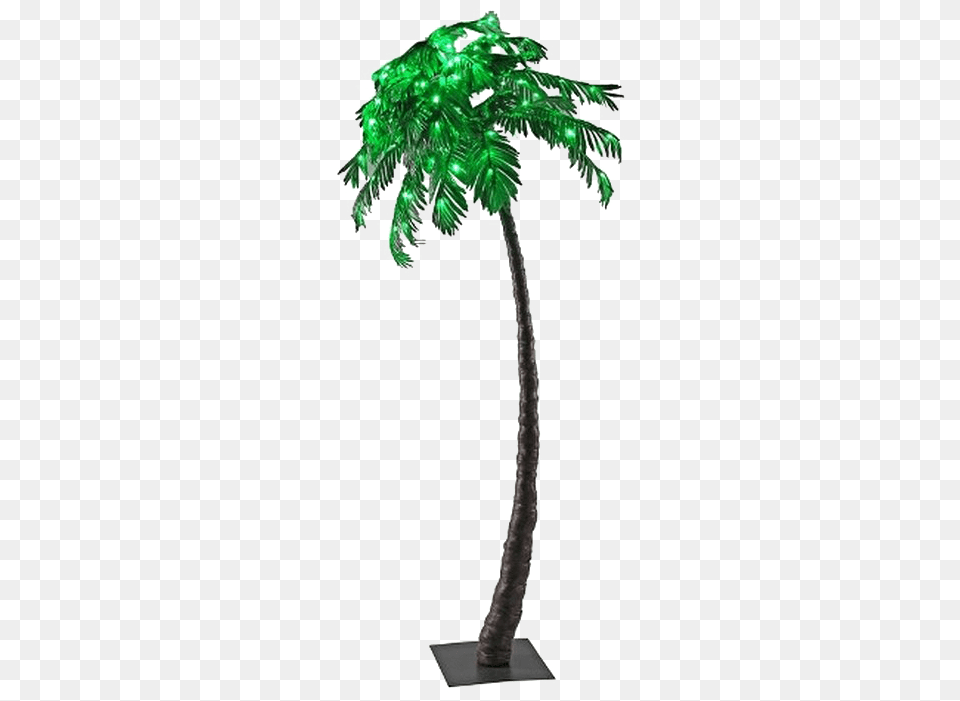 Palm Tree Transparent Background Borassus Flabellifer, Palm Tree, Plant, Cross, Symbol Png Image