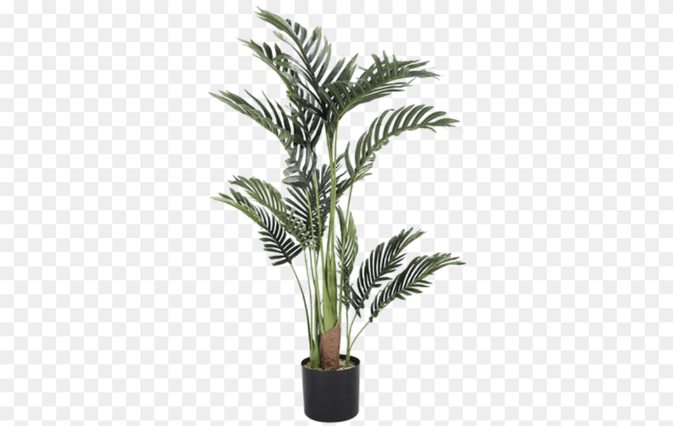 Palm Tree Transparent Image Tall Artificial Palm Tree Kmart, Palm Tree, Plant, Leaf, Potted Plant Free Png