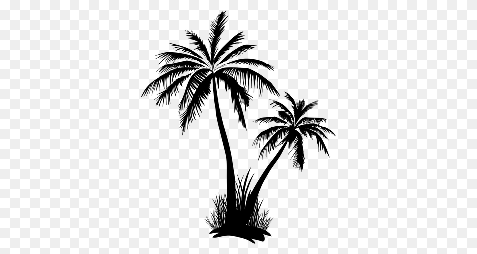 Palm Tree Transparent Images Group With Items, Gray Png Image