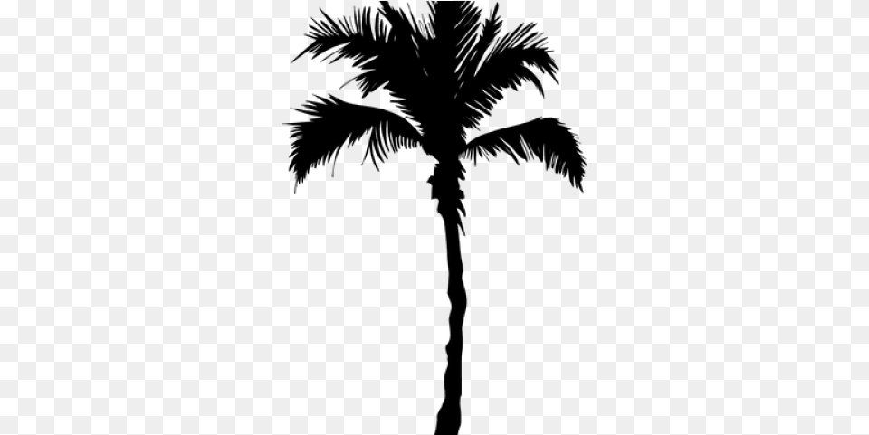 Palm Tree Transparent Images Respiro Janeiro, Gray Png Image