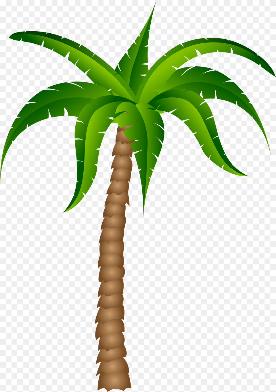 Palm Tree Transparent Pictureu200b Gallery Yopriceville Palm Tree Clipart Transparent, Palm Tree, Plant Free Png