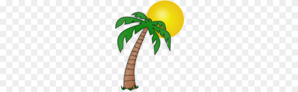 Palm Tree Under The Sun Clip Art Images Palm Tree, Plant, Palm Tree, Produce, Food Png Image