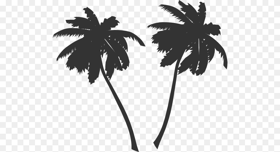 Palm Tree Vector, Palm Tree, Plant, Silhouette, Stencil Free Png