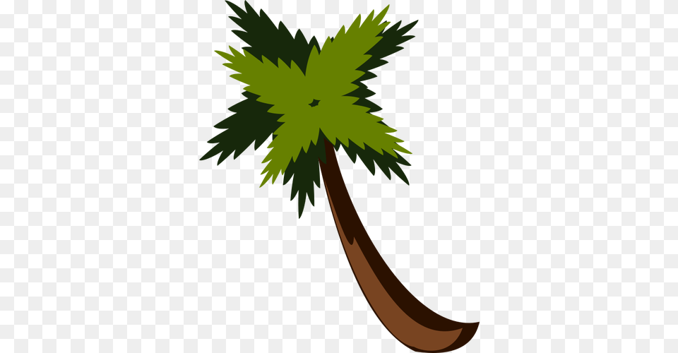Palm Tree Vector, Herbs, Leaf, Plant, Potted Plant Free Transparent Png