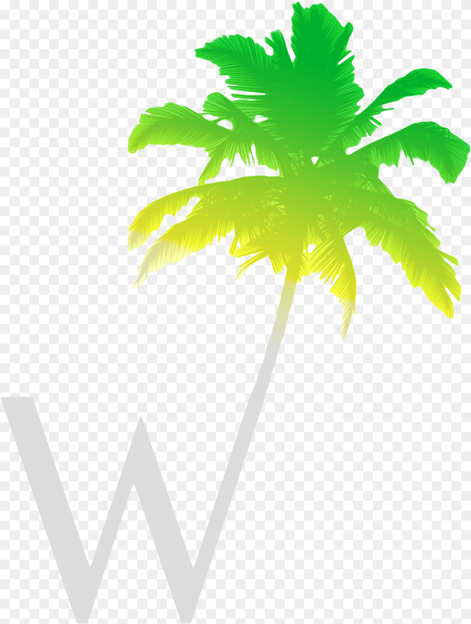 Palm Tree Vector, Green, Leaf, Plant, Palm Tree Png Image