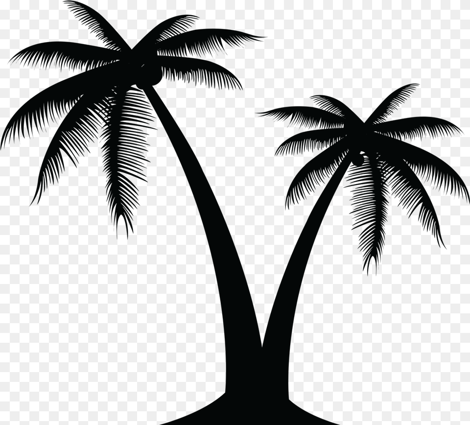 Palm Tree Vector, Palm Tree, Plant Png