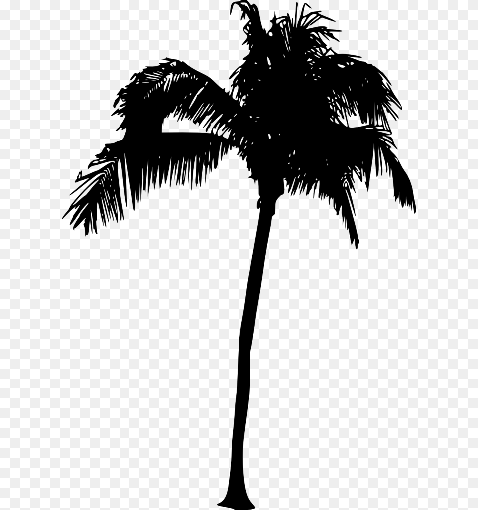 Palm Tree Vector, Gray Free Transparent Png