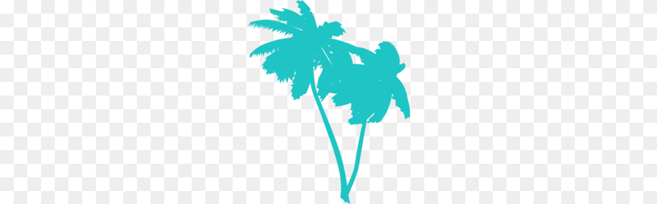 Palm Tree Vector, Leaf, Plant, Person, Flower Free Png Download