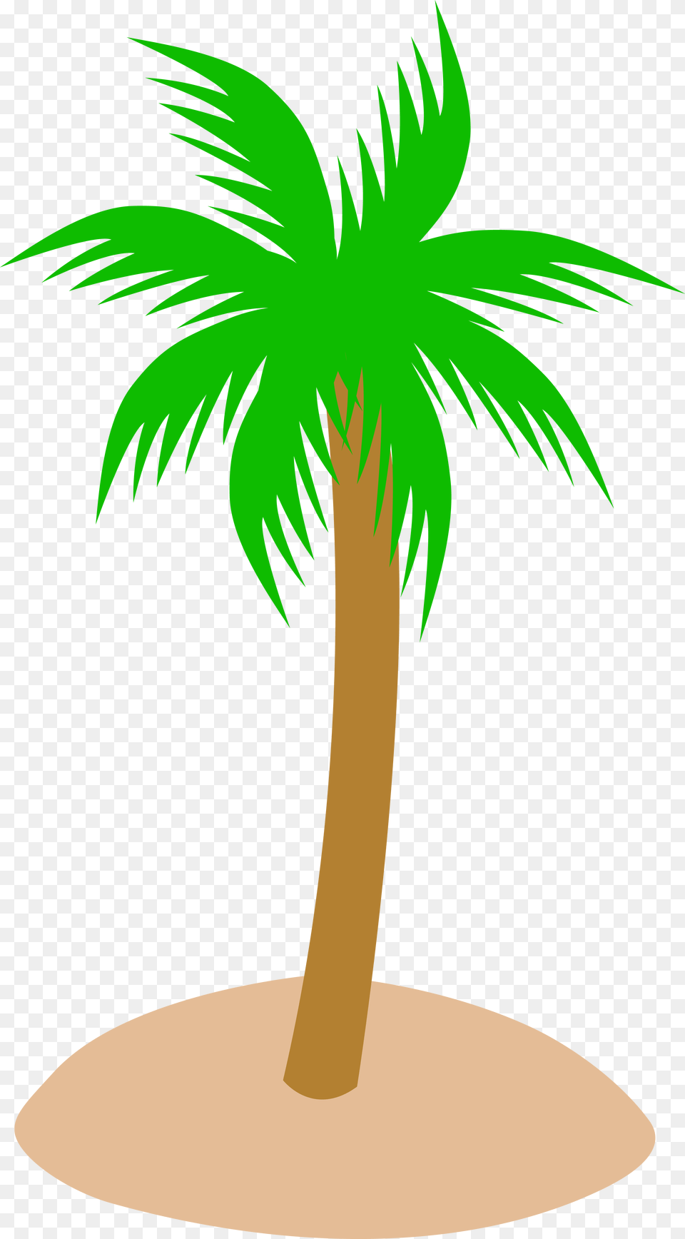 Palm Tree Vector, Palm Tree, Plant, Person, Food Free Png