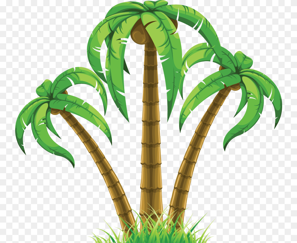 Palm Tree Vector Art Free Three Palms, Vegetation, Rainforest, Plant, Outdoors Png Image