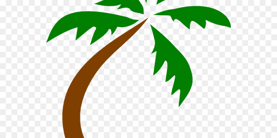 Palm Tree Vector Art Green Palm Trees Transparent Background, Leaf, Palm Tree, Plant, Vegetation Free Png Download