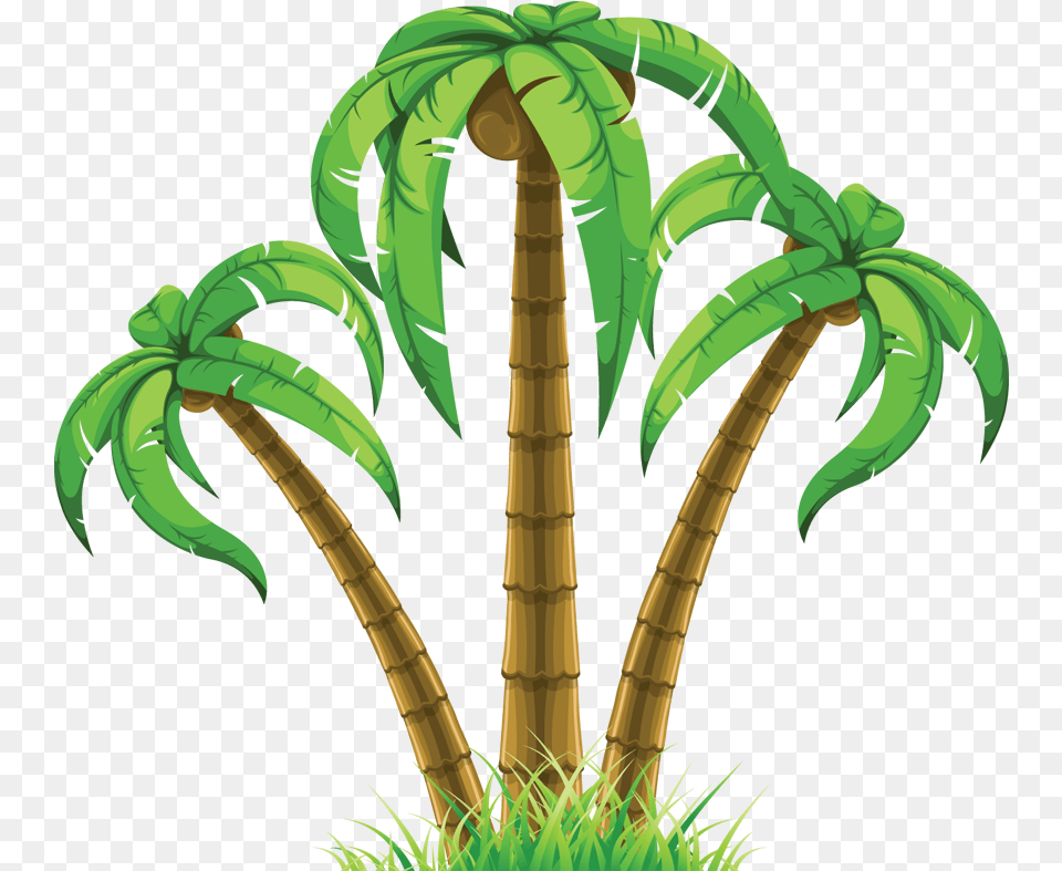 Palm Tree Vector Art Palm Tree Clip Art, Plant, Vegetation Free Png