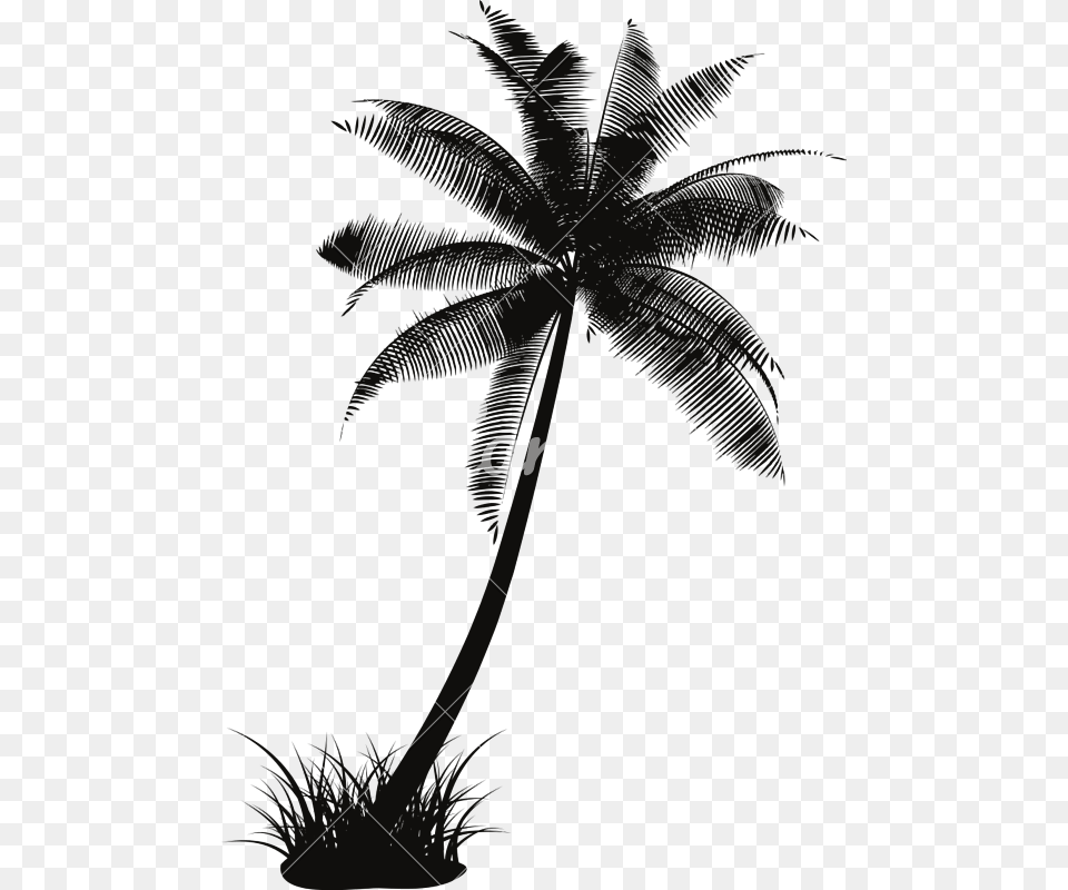 Palm Tree Vector Coconut Tree Silhouette Vector, Nature, Night, Outdoors, Symbol Free Png