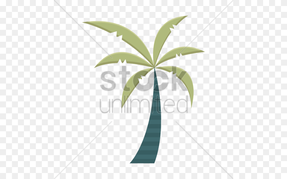 Palm Tree Vector Image, Palm Tree, Plant Png