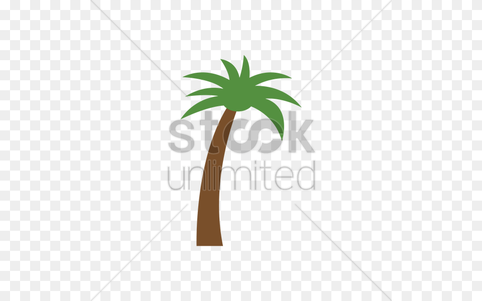 Palm Tree Vector Image, Palm Tree, Plant, Vegetation, Leaf Free Transparent Png