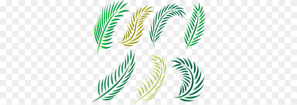 Palm Tree Vectors Gambar Siluet Daun Palem, Conifer, Pattern, Plant, Yew Free Transparent Png