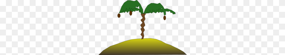 Palm Tree With Coconuts Clip Art, Plant, Vegetation, Outdoors, Nature Png Image