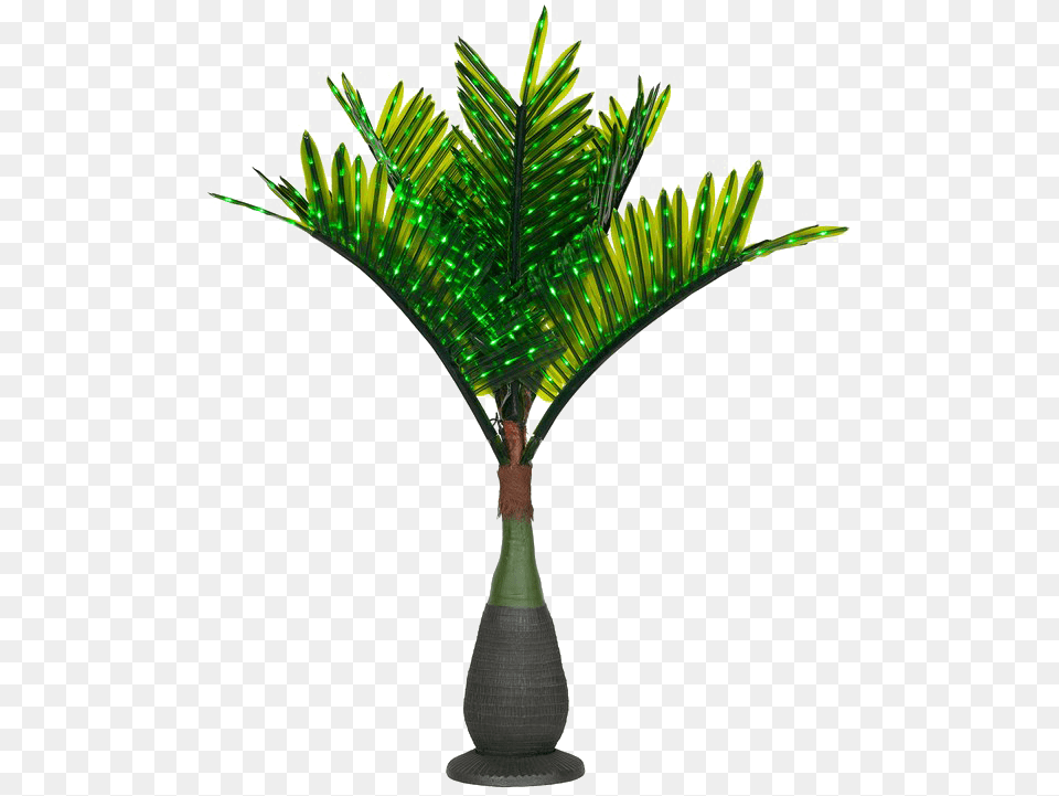 Palm Tree With Lights, Palm Tree, Plant, Cross, Symbol Png