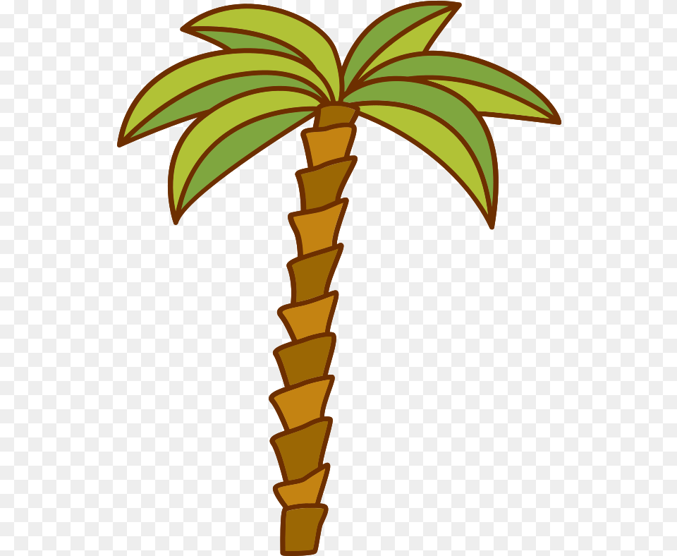 Palm Tree With Transparent Background Vertical, Palm Tree, Plant Png