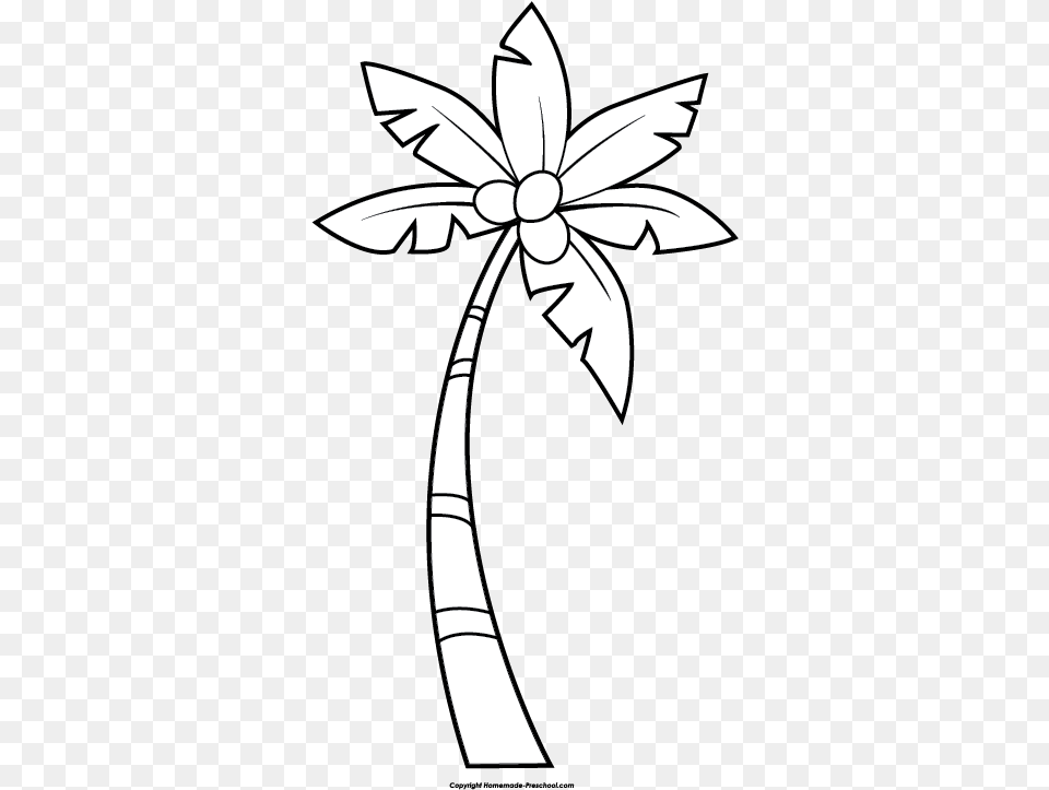 Palm Treebwpng Clipartsco Coconut Tree Clipart Black And White, Stencil Png