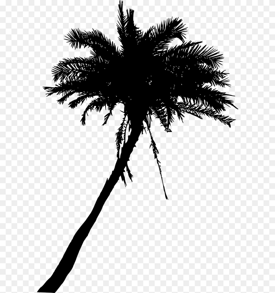 Palm Trees, Gray Free Png