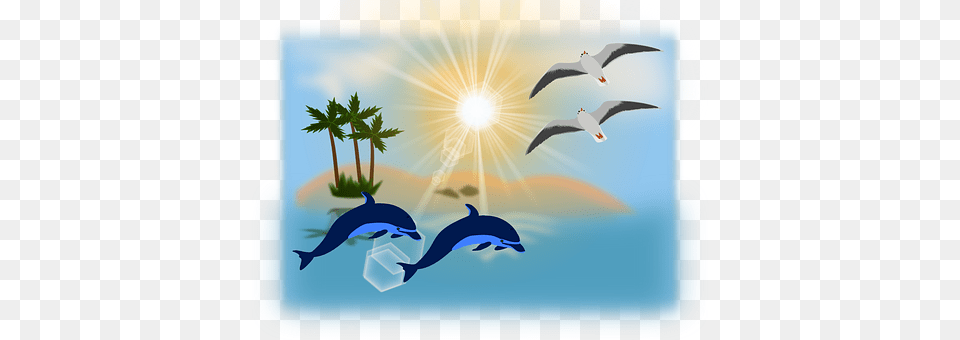 Palm Trees Sunlight, Animal, Bird, Dolphin Free Transparent Png