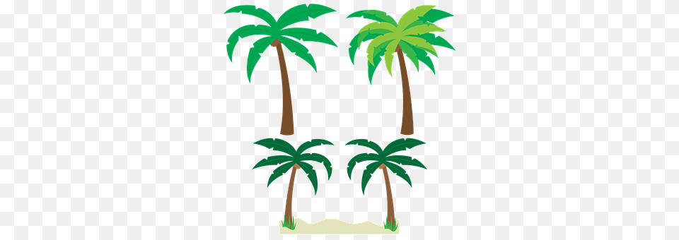 Palm Trees Palm Tree, Vegetation, Tree, Plant Png Image