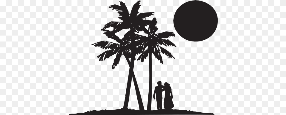 Palm Trees And Couple Palm Trees Couple Silhouette Full Coconut Laser Cut Tree, Outdoors, Plant, Nature, Night Png