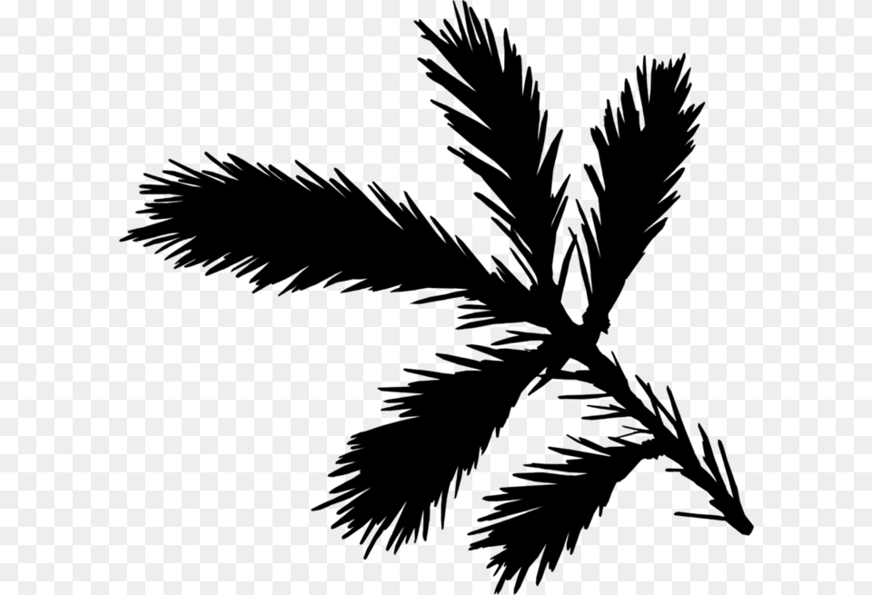 Palm Trees Black Amp White Fir Leaf, Gray Free Png