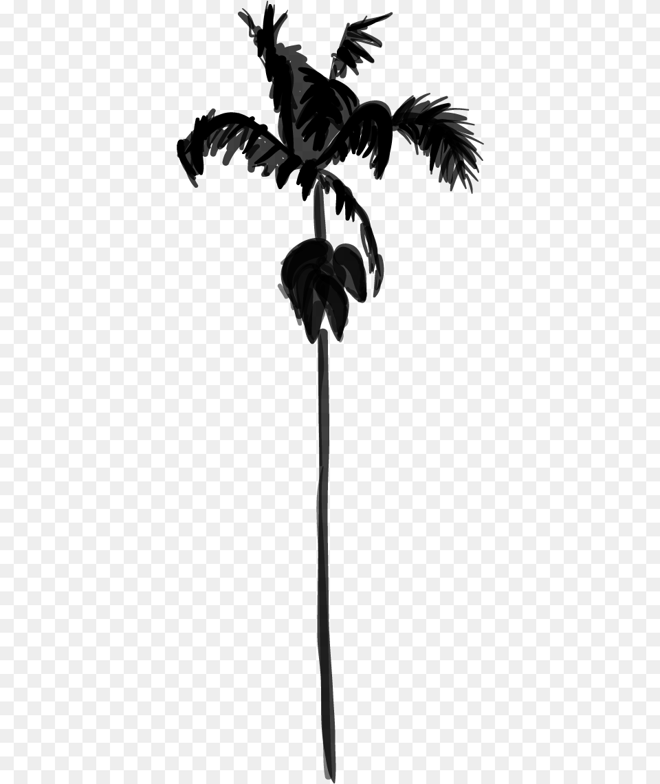 Palm Trees Black Amp White Silhouette, Gray Free Png Download