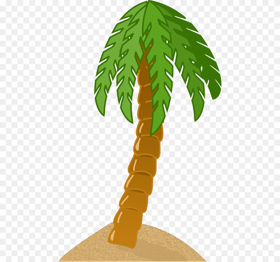 Palm Trees Clip Art, Palm Tree, Plant, Tree, Person Png