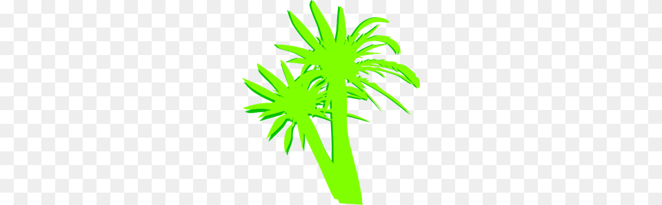 Palm Trees Clip Arts For Web, Moss, Plant, Green, Flower Free Png