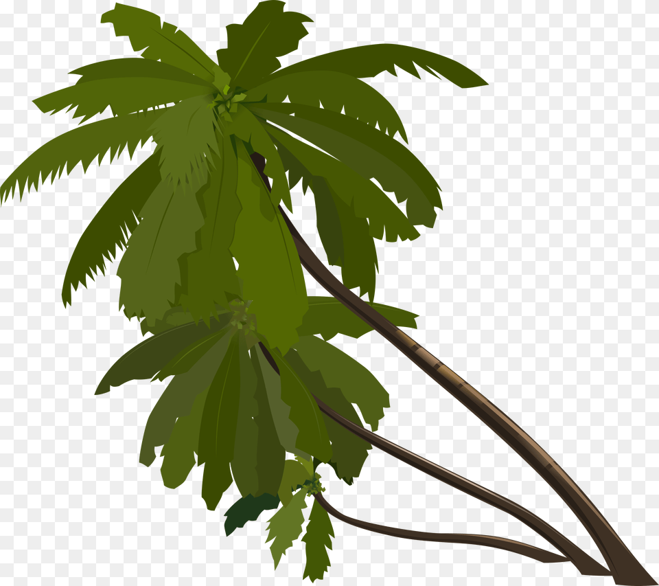 Palm Trees Clip Arts Tree Gif Transparent Background, Green, Leaf, Plant, Vegetation Png Image