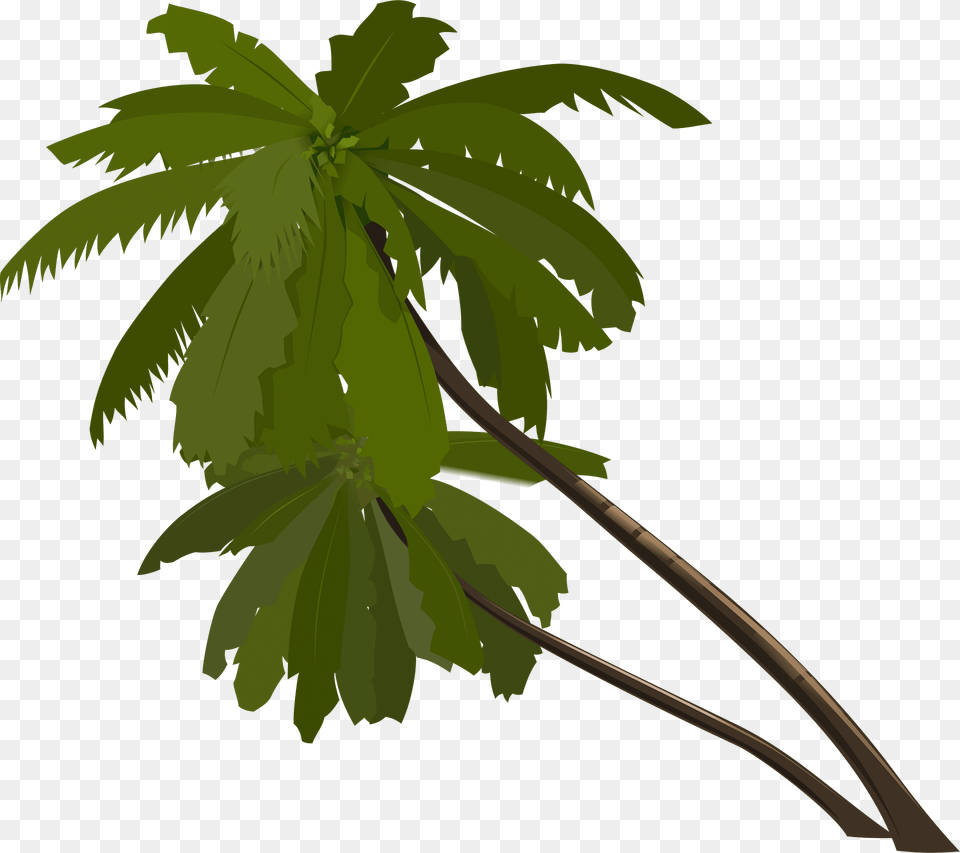 Palm Trees Clipart, Green, Tree, Plant, Palm Tree Free Png