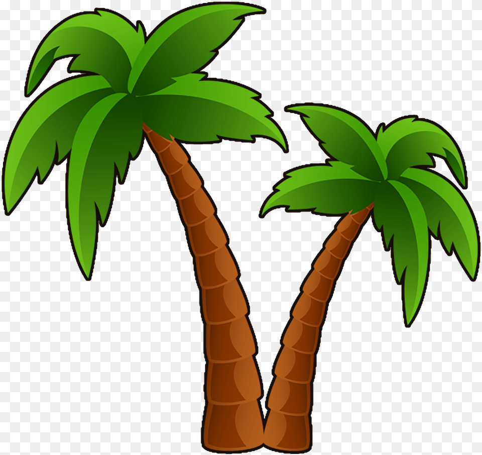 Palm Trees Clipart, Palm Tree, Plant, Tree Png