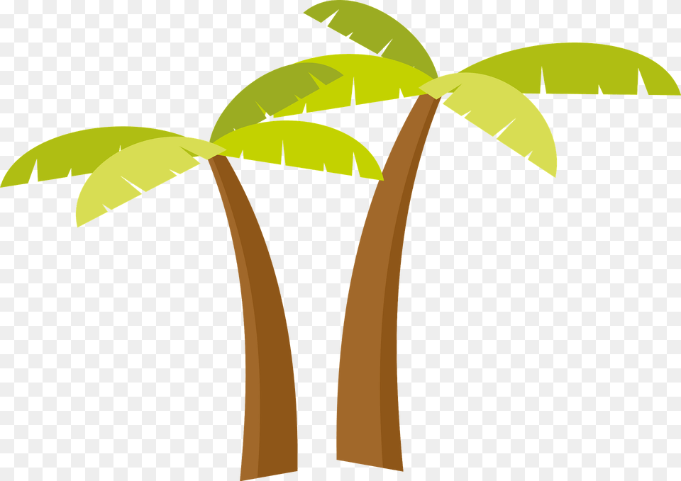 Palm Trees Clipart, Palm Tree, Plant, Tree, Vegetation Png