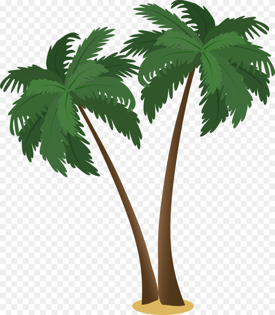 Palm Trees Clipart, Palm Tree, Plant, Tree, Vegetation Png