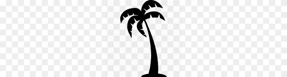 Palm Trees Clipart, Palm Tree, Plant, Tree, Person Free Transparent Png