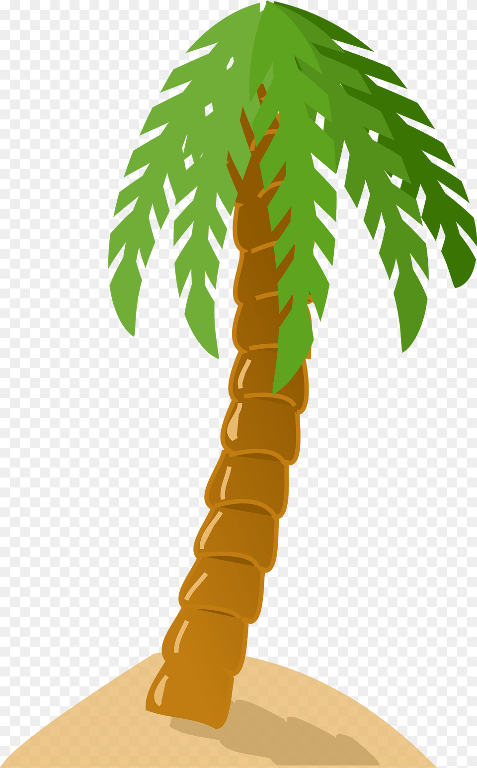 Palm Trees Clipart, Palm Tree, Plant, Tree, Food Free Png Download