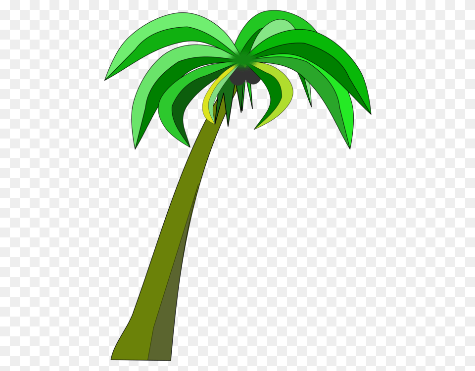 Palm Trees Coconut Can Stock Photo Drawing, Palm Tree, Plant, Tree Png
