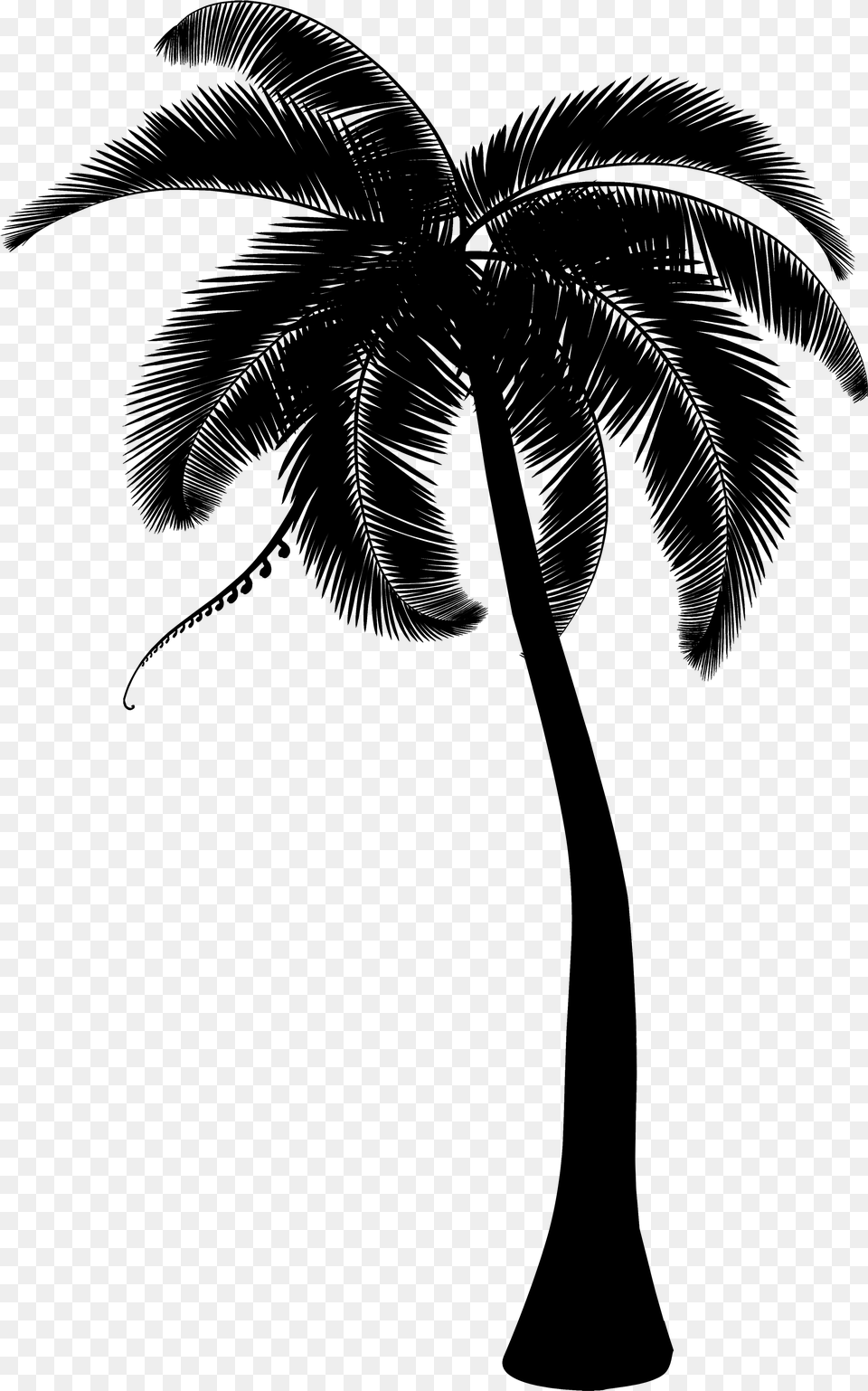 Palm Trees Coconut Clip Art Portable Network Graphics Palm Tree Clipart Line, Gray Free Png Download