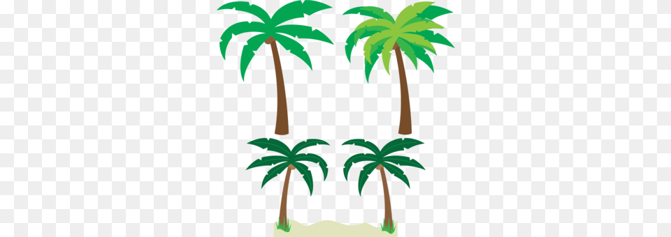 Palm Trees Coconut Fruit Download, Grove, Vegetation, Tree, Rainforest Free Transparent Png