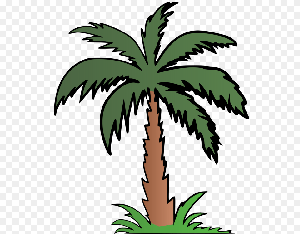 Palm Trees Computer Icons Diagram Information, Palm Tree, Plant, Tree, Person Png