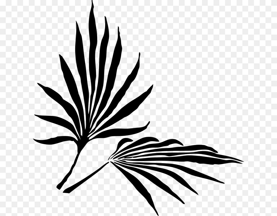Palm Trees Frond Leaf Palm Branch Silhouette, Gray Free Transparent Png
